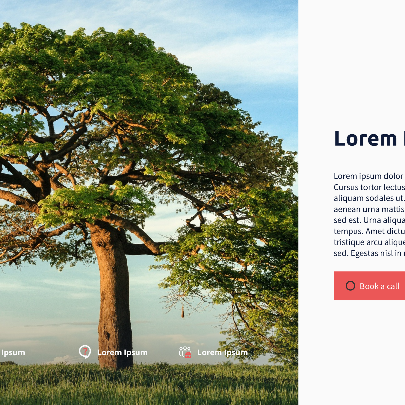info for Luxury UI/UX Design
